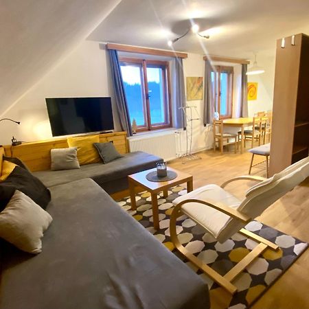 Apartman Ivko Letohrad Exterior photo