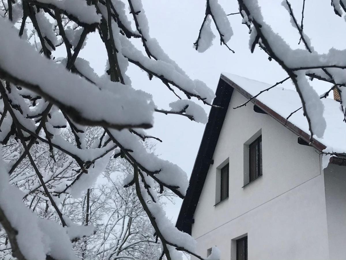 Apartman Ivko Letohrad Exterior photo